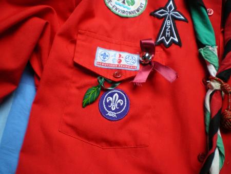 une feuille du marais..